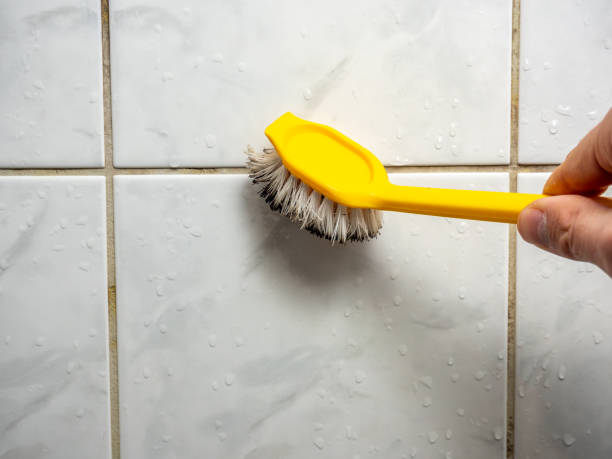 Best Residential Mold Remediation in Durham, OR